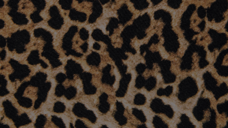 Sauvage et intemporel