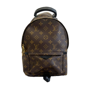 Louis Vuitton - Palm Springs Backpack, Brown