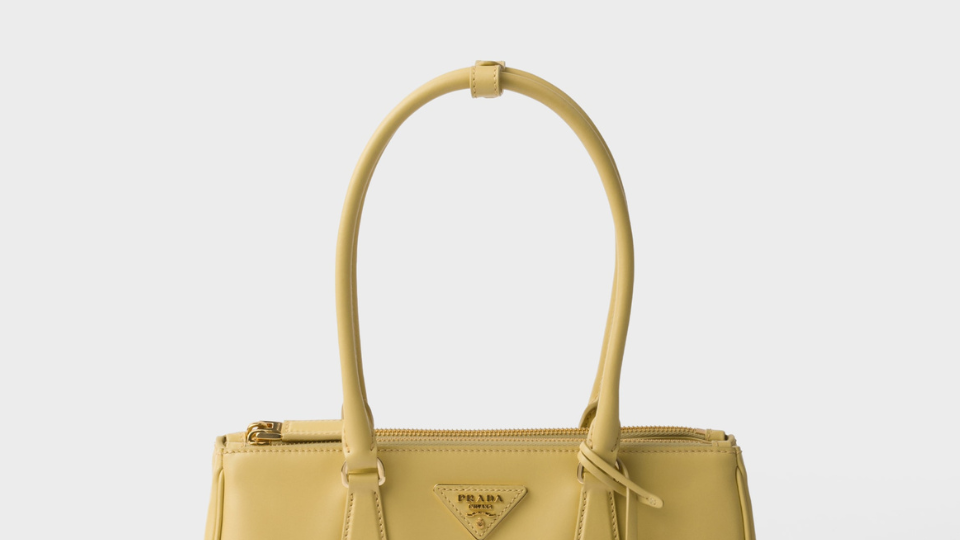 Paris Fashion Week AW 2026 Handbag Trends